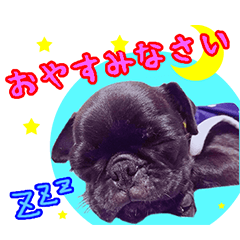 [LINEスタンプ] ぽん太くん スタンプ