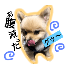 [LINEスタンプ] らむすた