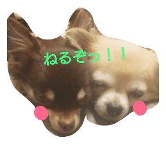 [LINEスタンプ] ひめあずの気持ち。