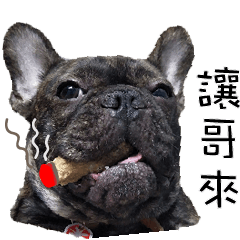 [LINEスタンプ] French Bulldog NP fragrancy