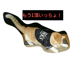 [LINEスタンプ] 猫2猫2猫2