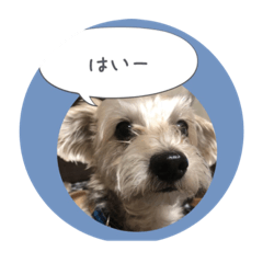 [LINEスタンプ] ムクたんのスタンプ