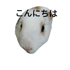 [LINEスタンプ] Pets No,1