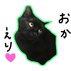 [LINEスタンプ] 我が家のあるちん