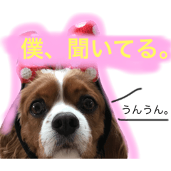 [LINEスタンプ] ほのぼのまろん 2