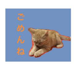 [LINEスタンプ] べるちゃんスタンプ