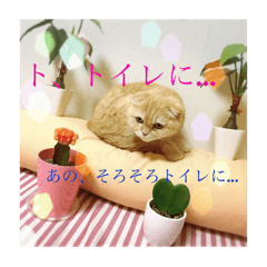 [LINEスタンプ] ペットのwanikoです