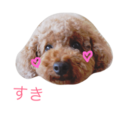 [LINEスタンプ] エルのにちじょう