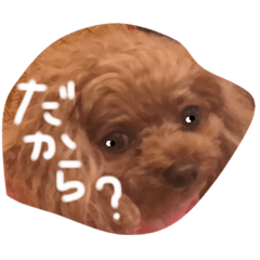 [LINEスタンプ] トイプの夢スタンプ