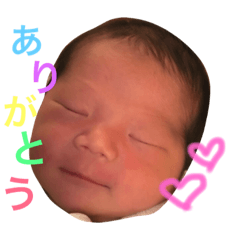 [LINEスタンプ] TOURIkun stamp