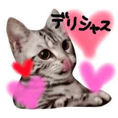 [LINEスタンプ] うらしちみ