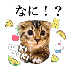 [LINEスタンプ] おでんスタンプ