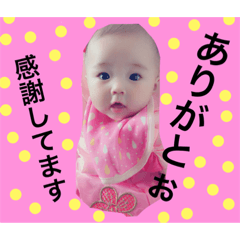 [LINEスタンプ] 愛しの日菜