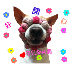 [LINEスタンプ] it's my dog BUNO