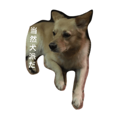 [LINEスタンプ] ごーるでんれとりぃばぁ