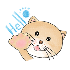 [LINEスタンプ] Catty Cat the Cat