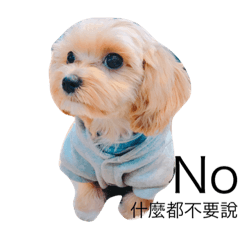 [LINEスタンプ] funny puppy106