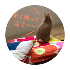 [LINEスタンプ] のあんぷ1027