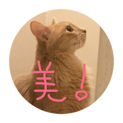 [LINEスタンプ] こみもな