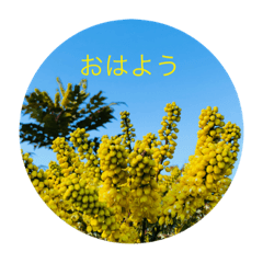 [LINEスタンプ] 優しい挨拶