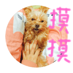 [LINEスタンプ] puppy chuchu