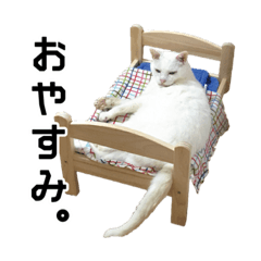 [LINEスタンプ] 白猫爺さんちゃんころべ