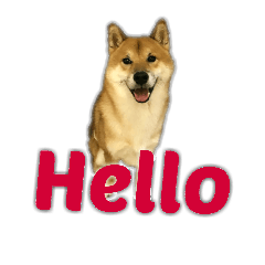 [LINEスタンプ] Happiness  Shiba