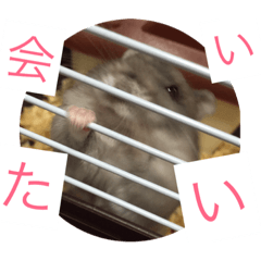 [LINEスタンプ] 画伯の愛したハムの日常で使えるスタンプ。