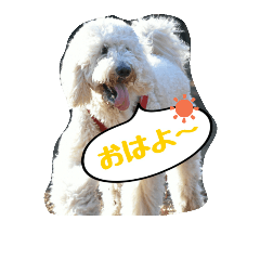 [LINEスタンプ] ドゥードルるうのるんるんスタンプ♪