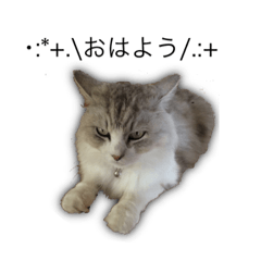 [LINEスタンプ] .*ちいたろう/*.