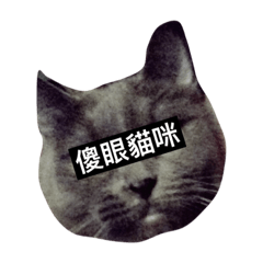 [LINEスタンプ] blues old cat