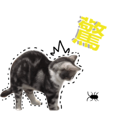 [LINEスタンプ] I am  a ball not a cat  2