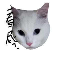 [LINEスタンプ] three cats Daily