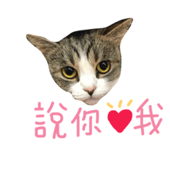 [LINEスタンプ] UK cat