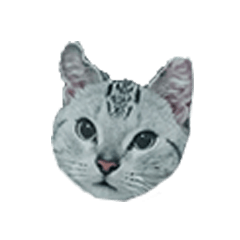 [LINEスタンプ] Cute Cattttt