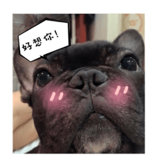 [LINEスタンプ] I Love Bulldog