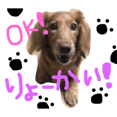 [LINEスタンプ] まいめっちぃー②