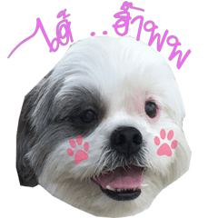 [LINEスタンプ] TalkDog