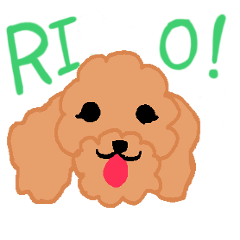 [LINEスタンプ] トイプードル RIOくん