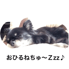 [LINEスタンプ] ふに