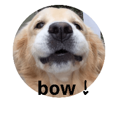 [LINEスタンプ] bowwowの仲間たち2