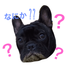 [LINEスタンプ] フレブル3兄弟♡