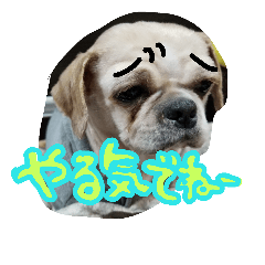 [LINEスタンプ] こまりがお(..)