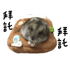 [LINEスタンプ] Hamster R-ni (In the tree hole)