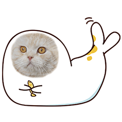 [LINEスタンプ] Sea-cat Sticker Setの画像（メイン）