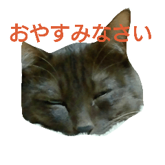 [LINEスタンプ] むぎ通信