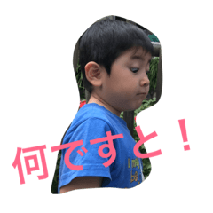 [LINEスタンプ] 日常的なはしもと