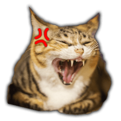 [LINEスタンプ] Miaow Miaow Miaow