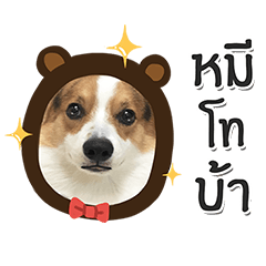 [LINEスタンプ] Toby the Corgi