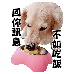 [LINEスタンプ] Mr CHOCO-Dachshund daily